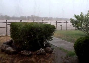 Lluvias dan un alivio al campo