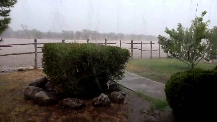 Lluvias dan un alivio al campo
