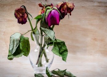 Inglaterra como Monterrey, sin agua y con calor; se pondrá peor