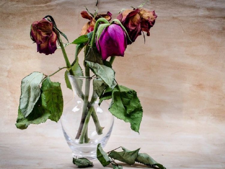 Inglaterra como Monterrey, sin agua y con calor; se pondrá peor