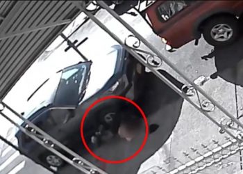 Video | Hombre intenta abusar de mujer mientras daba paseo con su perro en Nueva York