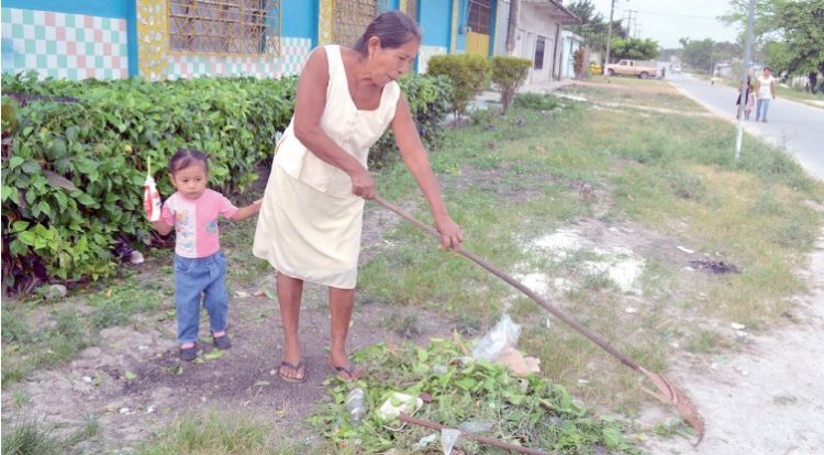 Piden acciones de limpieza para evitar brote de dengue
