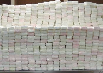 Histórico decomiso de droga en Puente IV por parte de CBP