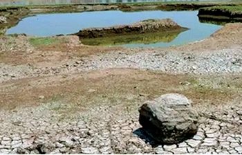 Insuficientes medidas por decreto antisequía