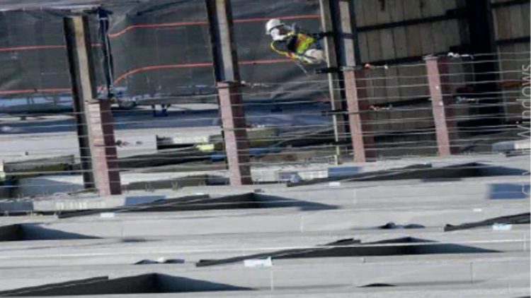 Desempleo cae al mínimo