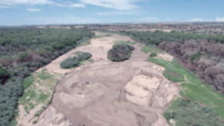 Empeora aún más rápido la sequía