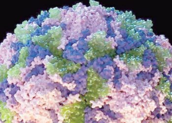  Detectan polio en aguas residuales