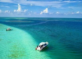 Marina rastrea la avioneta ‘fantasma’ que habría caído al Oeste de Progreso