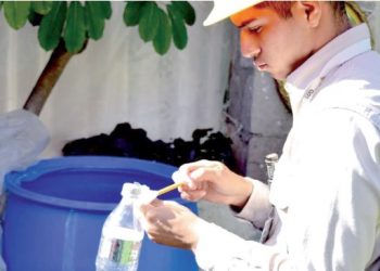 Nuevo Laredo está libre de dengue, por el momento