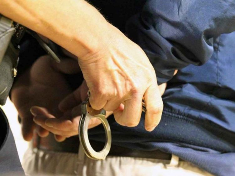 Fueron víctimas de delito 22.1 millones