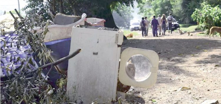 Está latente el brote de dengue