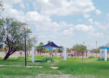 Realizan limpieza en áreas verdes