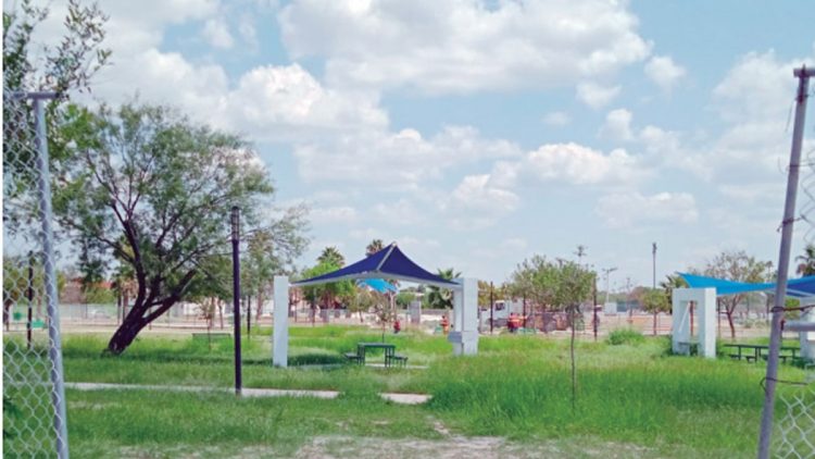 Realizan limpieza en áreas verdes