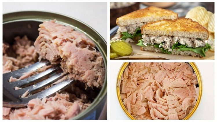 Marcas de atún… que no son atún: ¿qué son entonces?