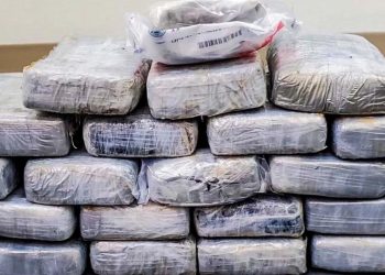 Investigación de Vice revela cuál es la cocaína de mayor calidad