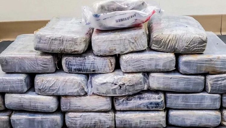 Investigación de Vice revela cuál es la cocaína de mayor calidad