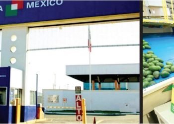 Alerta sanitaria en la frontera