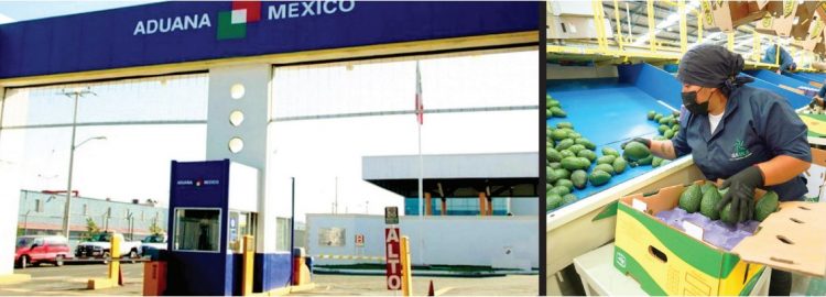 Alerta sanitaria en la frontera