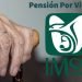 Intenta IMSS retirar pensiones por viudez