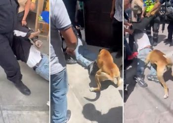 VIDEO | Perro se suma a linchamiento de ladrón