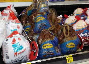 Se va a las nubes precio del pavo