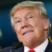 Juez: Trump firmó documentos de fraude que sabía eran falsos 