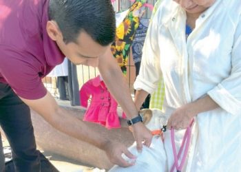 Lleva Municipio atención veterinaria a domicilio