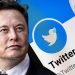 Esto es lo que te cobrará Musk por la ‘palomita azul’ de cuenta verificada en Twitter