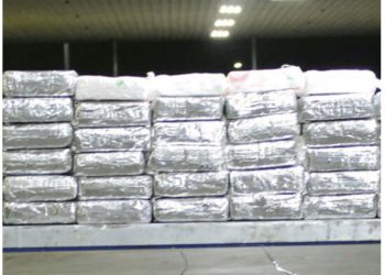 Decomisan 118 libras de cocaína en el Puente del Comercio Mundial