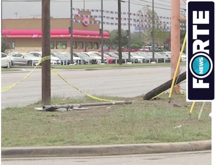 Muere mujer al estrellarse en poste