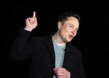 Musk pide votar a republicanos en legislativas de EE.UU.