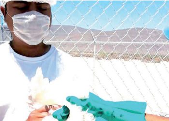 Influenza Aviar de alto contagio llega 9 estados