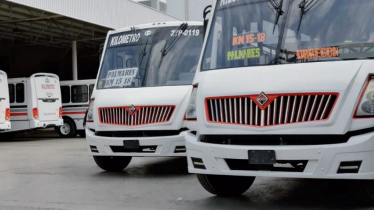 Deberán agregar mas Camiones y rutas