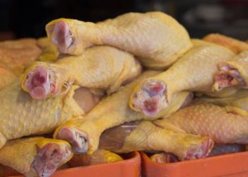 Detectan grave cepa de gripe aviar en granja de Nuevo León