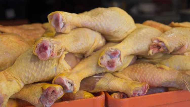 Detectan grave cepa de gripe  aviar en granja de Nuevo León