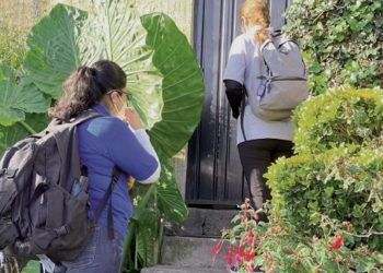 Realizan encuesta de salud público