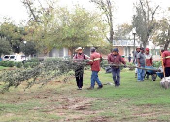 EN PLAZAS Y PARQUES MUNICIPALES Inicia campaña de reforestación