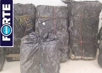 Arrestan a dos llevaban droga e inmigrantes ilegales