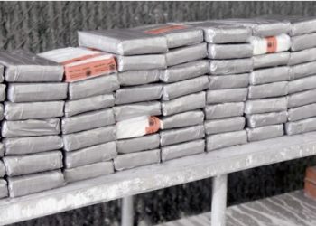 Siguen cayendo millonarios cargamentos de cocaína en el Puente del Comercio Mundial