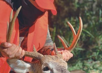 Esperan más de 400 cazadores de venado cola blanca