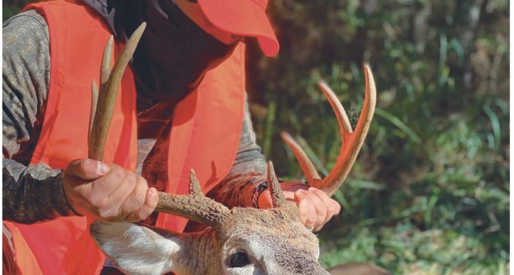 Esperan más de 400 cazadores de venado cola blanca
