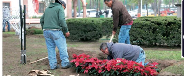 DECORAN VARIOS PUNTOS DE LA CIUDAD Invade el espíritu navideño a ciudad