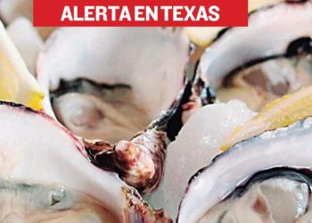 Ostiones contaminados enferman a decenas de personas