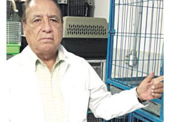 Veterinarios charlatanes maltratan a mascotas