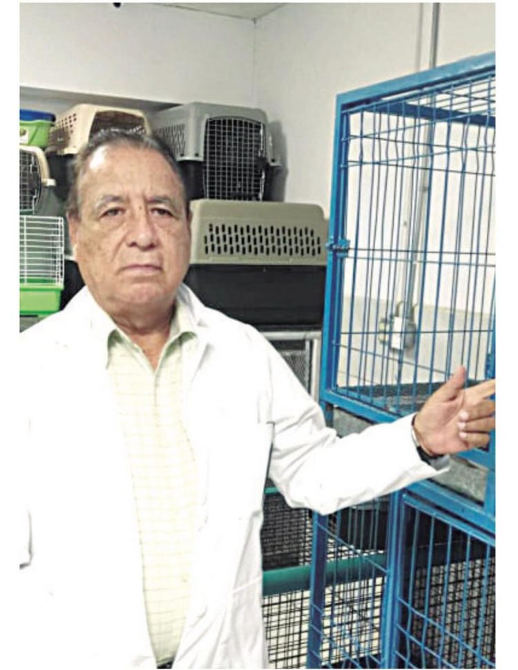 Veterinarios charlatanes maltratan a mascotas