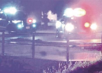 Instalarán cámaras de seguridad en más parques