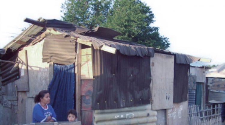 EN PELIGRO 20 MIL POR FRÍO EXTREMO