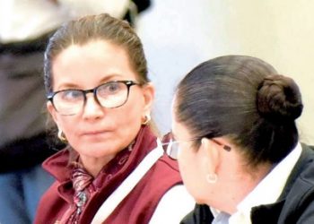 Estado tiene 22 PROYECTOS DE inversiones extranjeras