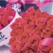 Artículos del Día del Amor estarán más “cariñosos” que nunca