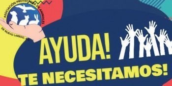 Piden ayuda para la Asociación Protectora de Animales